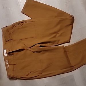 Sonoma Brown Skinny Pant